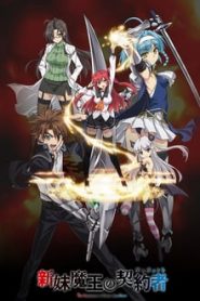 Shinmai Maou no Testament Todos os Episodios Online