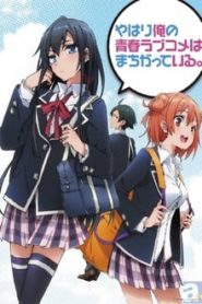 Yahari Ore no Seishun Love Comedy wa Machigatteiru Todos os Episodios Online