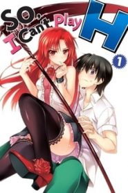 Dakara Boku wa, H ga Dekinai. 1 Temporada Online
