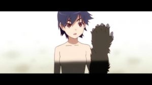Bakemonogatari Episodio 8
