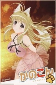 Kanokon 1 Temporada Online