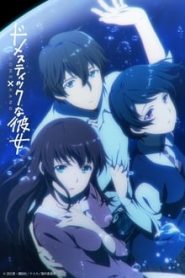 Domestic na Kanojo 1 Temporada Online