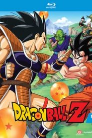 Dragon Ball Z 1 Temporada Online