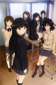 Amagami SS 1 Temporada Online