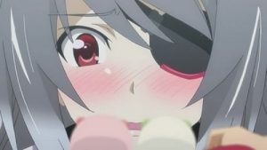 IS: Infinite Stratos 2 Episodio 11