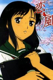 Koi Kaze