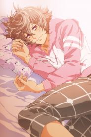 Makura No Danshi