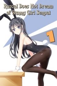 Seishun Buta Yarou wa Bunny Girl Senpai no Yume wo Minai 1 Temporada Online