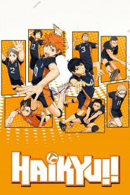 Haikyuu!! Todos os Episodios Online
