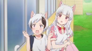 Uchi Tama?! Uchi no Tama Shirimasen ka? Episodio 2