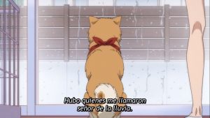 Oda Cinnamon Nobunaga Episodio 5
