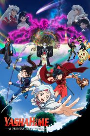 Hanyou no Yashahime: Sengoku Otogizoushi