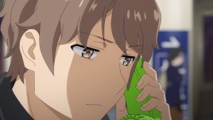 Seishun Buta Yarou wa Santa Claus no Yume wo Mina Episodio 12